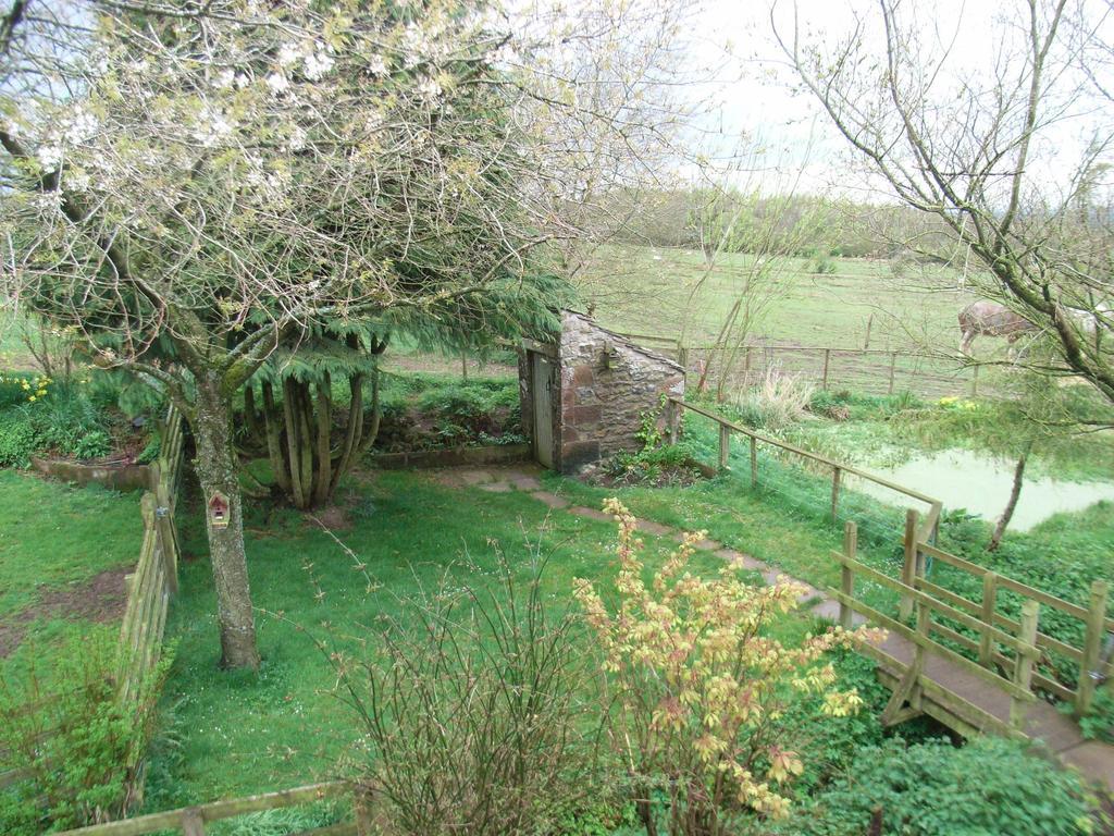 Wallace Lane Farm Westward エクステリア 写真