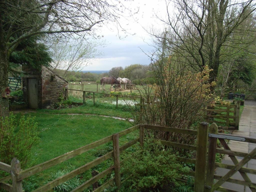 Wallace Lane Farm Westward エクステリア 写真
