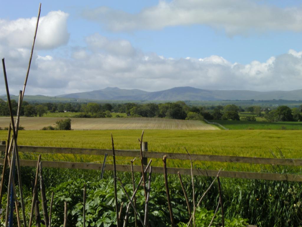 Wallace Lane Farm Westward エクステリア 写真