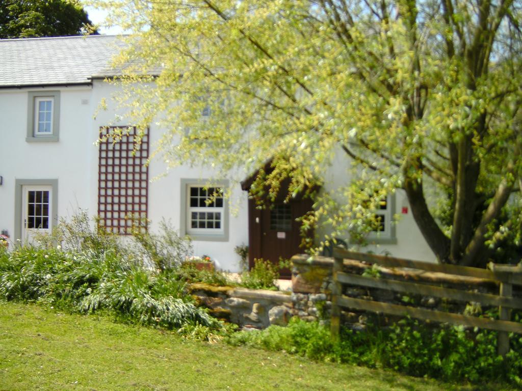Wallace Lane Farm Westward エクステリア 写真