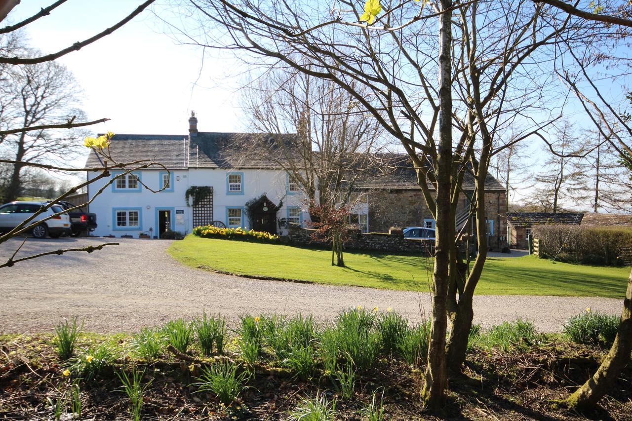 Wallace Lane Farm Westward エクステリア 写真