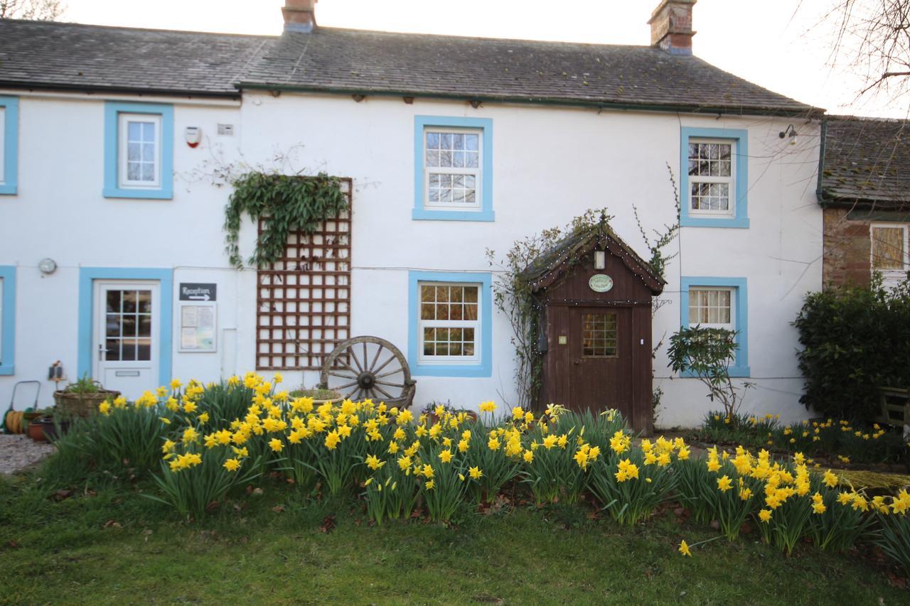 Wallace Lane Farm Westward エクステリア 写真